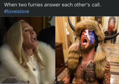 furries.jpg